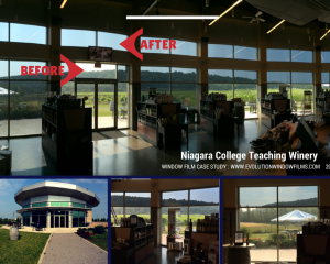 Niagara College Window Film Before and After for Business, Solar Control