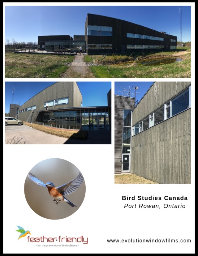 Bird Studies Canada - Port Rowan, Ontario